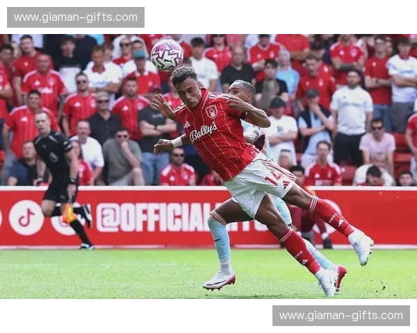 英超赛事全程在线直播观看平台畅享高清赛事精彩瞬间