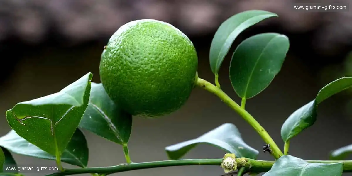 🏆激情赛事，一键点燃你的热血！